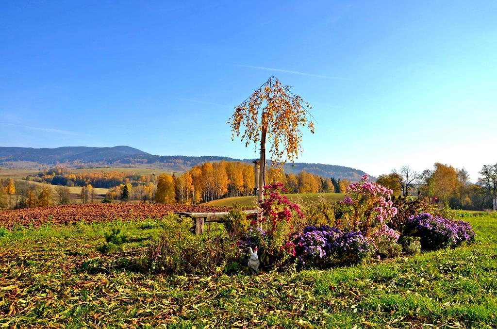Penzion Na Cervenem Potoce Kraliky Exterior photo